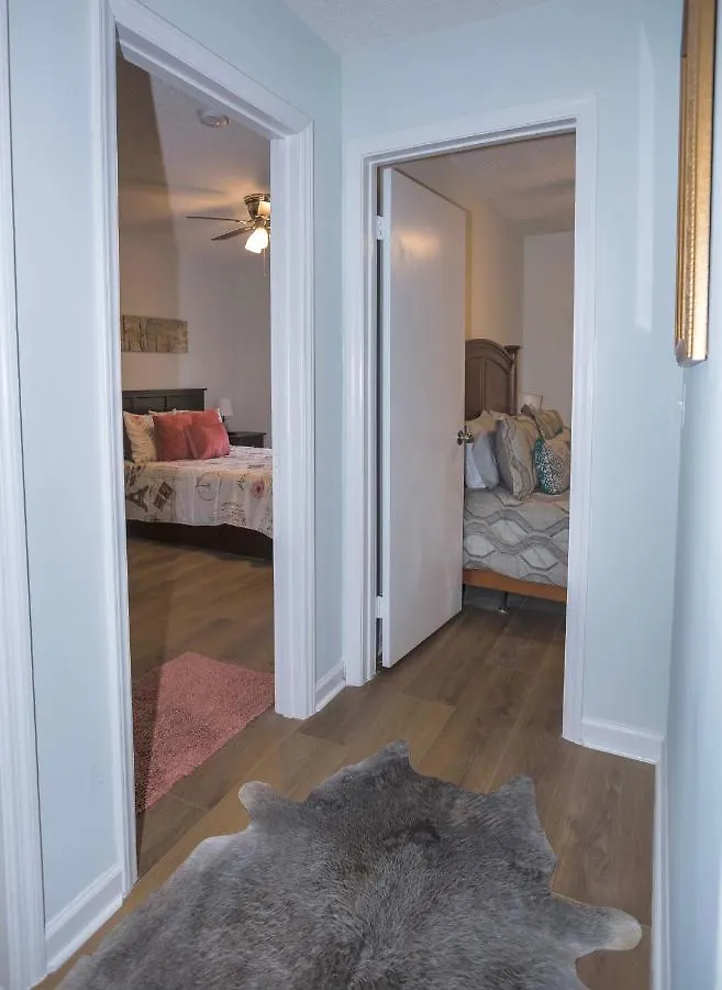 Apartment Elegant 3 Bedroom Apt With Free Parking And Balcony Nashville United States